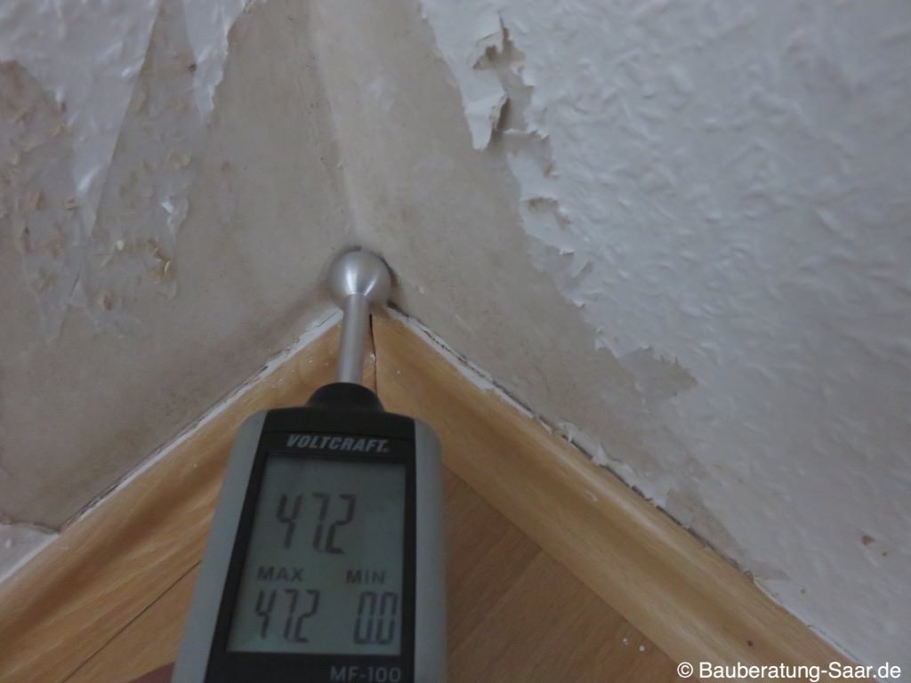 Schimmel im Wohnraum